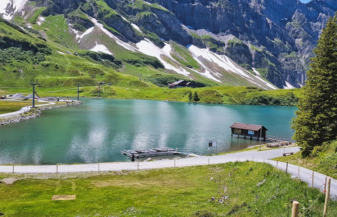 swiss lake investigation