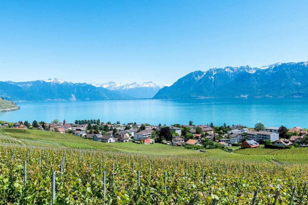 swiss lakes landscape