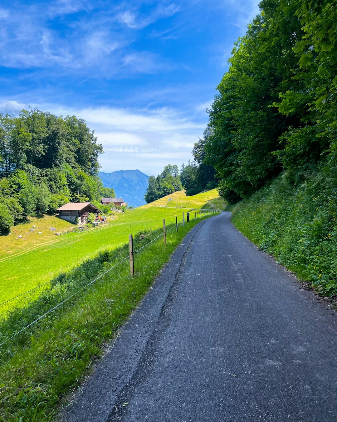hidden swiss village